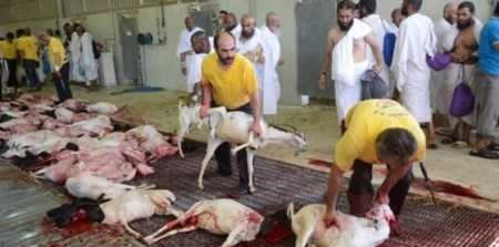 قربانی کردن گوسفند در عید قربان و در مراسم حج