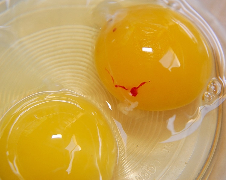 از نظر مراجع دین اسلام احکام لکه خون در تخم مرغ چیست؟